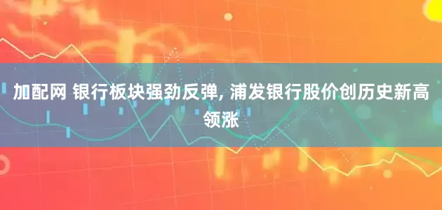 加配網(wǎng) 銀行板塊強勁反彈, 浦發(fā)銀行股價創(chuàng)歷史新高領(lǐng)漲