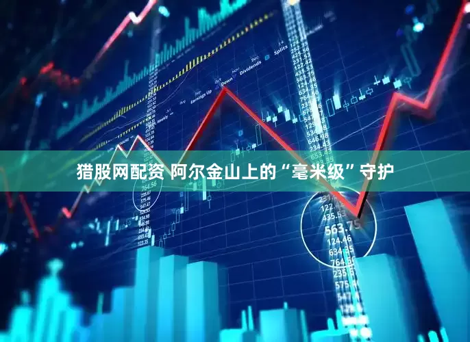 獵股網(wǎng)配資 阿爾金山上的“毫米級”守護(hù)