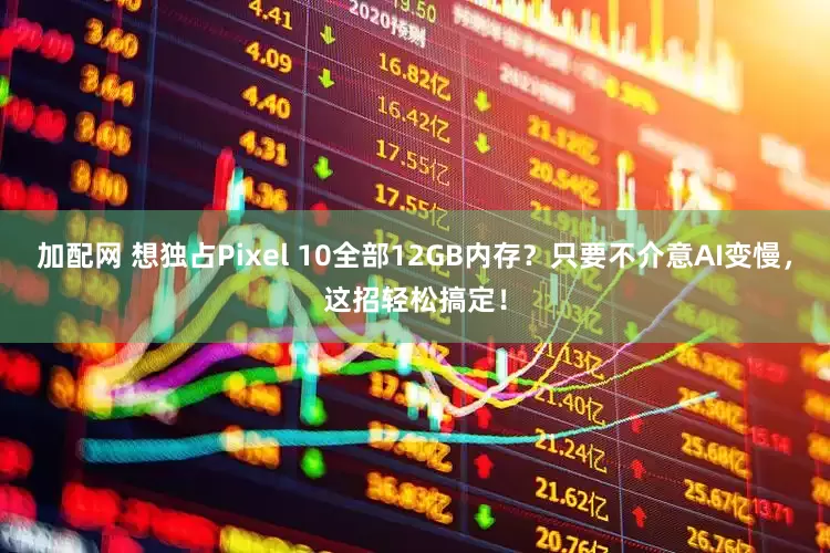 加配網(wǎng) 想獨(dú)占Pixel 10全部12GB內(nèi)存？只要不介意AI變慢，這招輕松搞定！